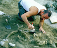 Marc Meyer