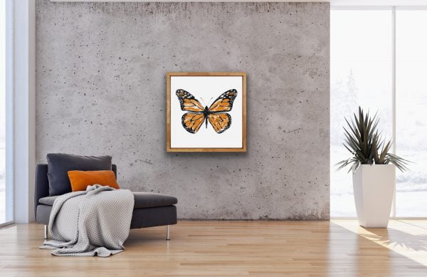 butterfly framed photo on gray wall with chair