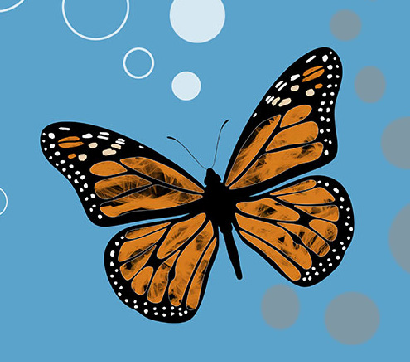 butterfly with blue background