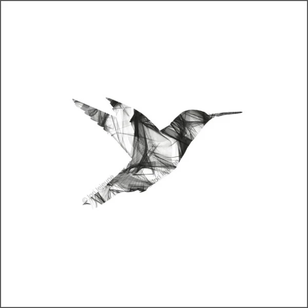 Hummingbird 1: Luck