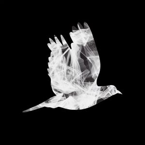 Soaring | Uplifting Art